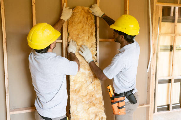 Professional Insulation in Fordoche, LA